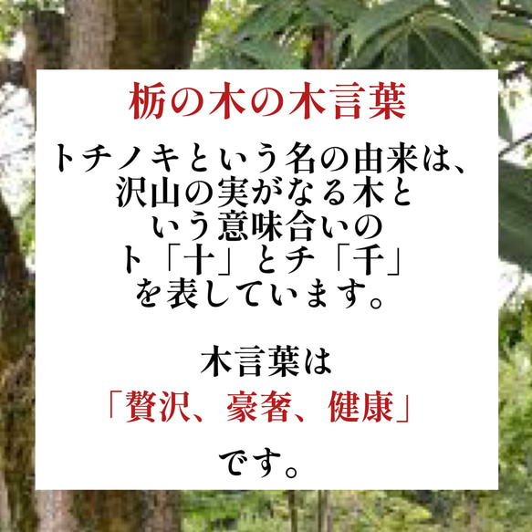 【世界にたった一つ】最高級・栃の瘤レジンテーブル 11枚目の画像