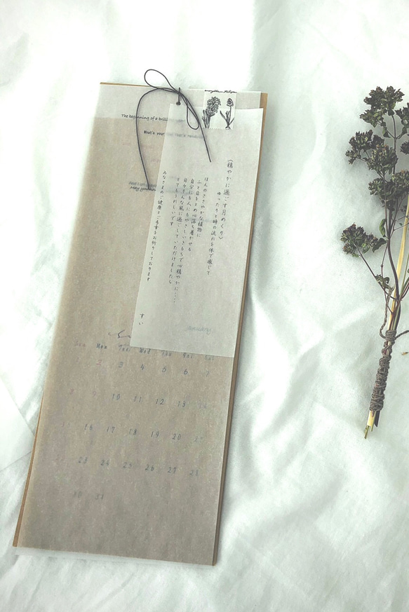 《ちょこっと植物の月めくり暦》去年までに板付きをお買い上げの方限定！カレンダー用紙のみ(板、植物ナシ) 6枚目の画像