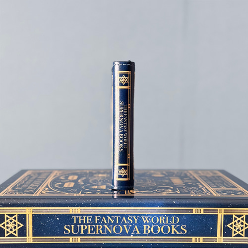 小さな本のような名刺入れ 