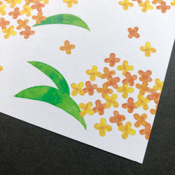 秋のポストカードセット 銀杏と金木犀 3枚目の画像