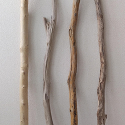 【送料無料】流木　長さ100センチメートル 太めの流木 100cm～110cm (A.B.Cは売り切れました！)各1本