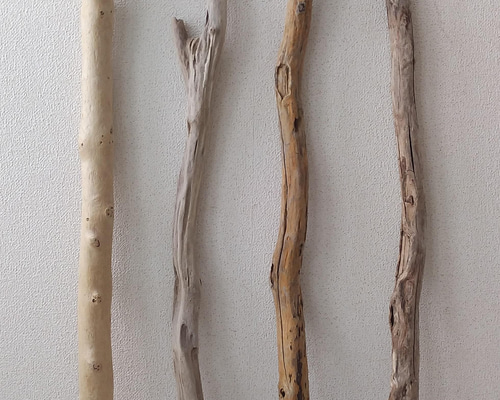 【送料無料】流木　長さ100センチメートル e1eb550724985adf437e37d53e26c2