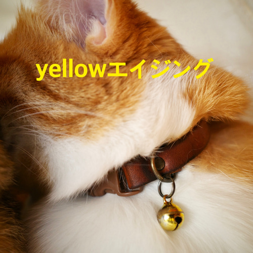 受注生産】寄付付き 小型犬 猫の首輪 栃木レザー セーフティバックル