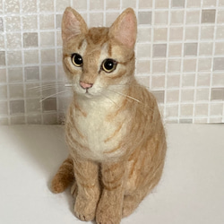 Mサイズ 植毛なし サンプルページ キジトラ 猫ちゃん キジ白 羊毛