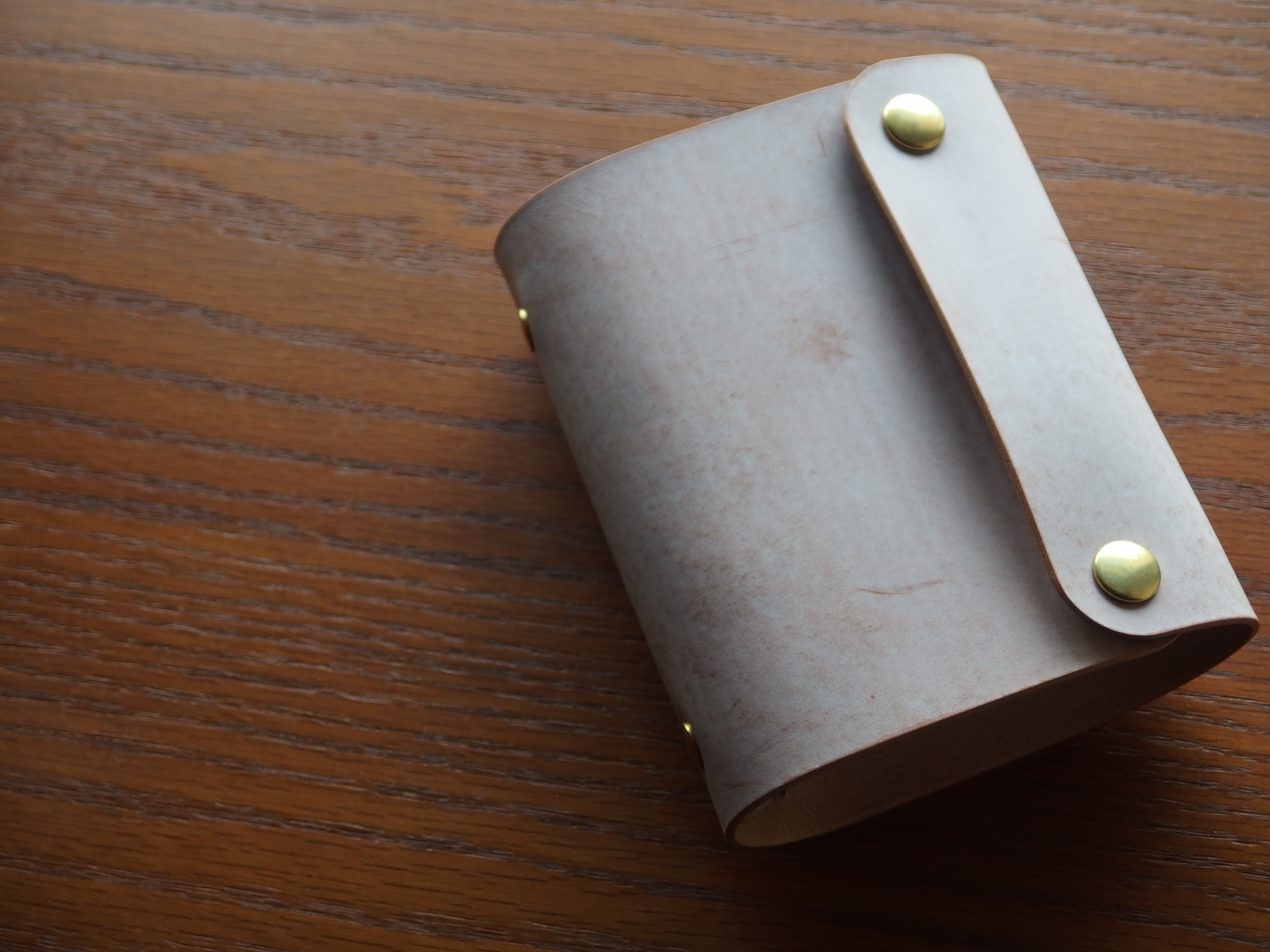 革の手帳（マイクロ５）