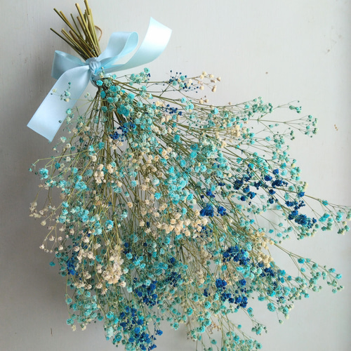 カスミソウのドライフラワー～ﾌﾞﾙｰﾐｯｸｽ～ ドライフラワー nyao-mery