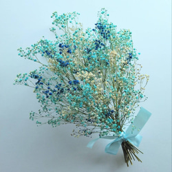 カスミソウのドライフラワー～ﾌﾞﾙｰﾐｯｸｽ～ ドライフラワー nyao-mery