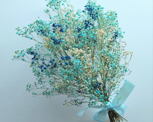 カスミソウのドライフラワー～ﾌﾞﾙｰﾐｯｸｽ～ ドライフラワー nyao-mery