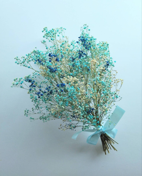 カスミソウのドライフラワー～ﾌﾞﾙｰﾐｯｸｽ～ ドライフラワー nyao-mery