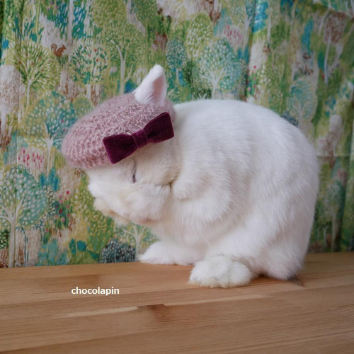 gouk雅　うさぎモチーフベレー帽 3Dモデル】うさぎ 帽子『Y2K Rabbit Hat』ver.1.0 販売開始