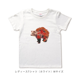 鮮やか紅葉くまのTシャツ 3枚目の画像