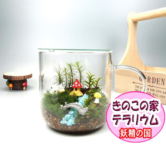 きのこの家【苔テラリウム・手作りキット一式】マグカップ 母の日 