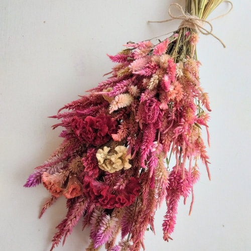 ☆752 hanatoteto ケイトウ ドライフラワー 450本 ケイトウのドライフラワー ドライフラワー nyao-mery 通販 12635508