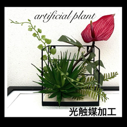 光触媒加工 除菌消臭ウォールグリーン フェイクグリーン 格子3 多肉