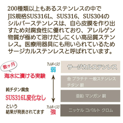 ブラックスピネル サージカルステンレス ピアス セカンドピアス 金属アレルギー対応 つけっぱなしOK 8月誕生石 7枚目の画像