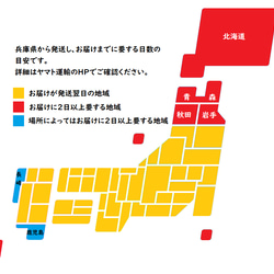 2024年正月餅♡【常温】[ご自宅用ヒヨクモチ20個入] 本当に美味しい杵でついた手作り丸餅 4枚目の画像