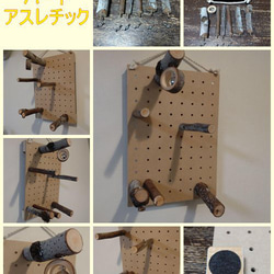 バードアスレチック 【受注生産品】 おもちゃ・ペット小物 工房 FALCON