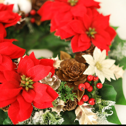 特大32㎝＊赤いポインセチアのクリスマスリース＊信州の冬の彩り＊冬