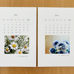 《送料無料》2024 お花のカレンダー ポストカードサイズ 4枚目の画像