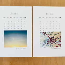 《送料無料》2024 お花のカレンダー ポストカードサイズ 7枚目の画像