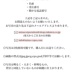 【オリジナル】 珪藻土コースター オリジナル コースター プレゼント 2枚組 写真 思い出 coaster-bz-01 10枚目の画像