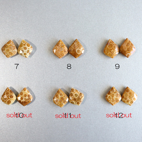 ☆最終半額セール☆大人気☆超希少 フォシルコーラル AAA 化石珊瑚
