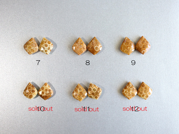 ★最終半額セール★大人気☆超希少 フォシルコーラル AAA 化石珊瑚 14kgf 淡萌黄色のピアス（イヤリング変更可） 8枚目の画像