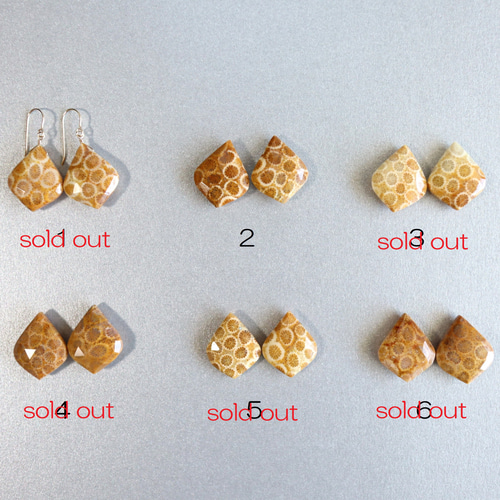 ☆最終半額セール☆大人気☆超希少 フォシルコーラル AAA 化石珊瑚