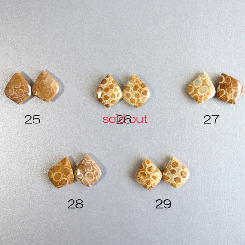 ☆最終半額セール☆大人気☆超希少 フォシルコーラル AAA 化石珊瑚