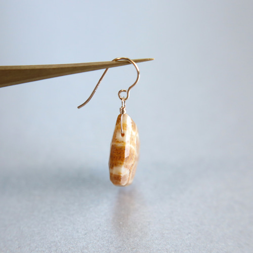 ☆最終半額セール☆大人気☆超希少 フォシルコーラル AAA 化石珊瑚