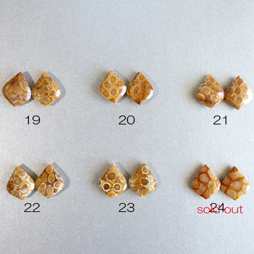 ☆最終半額セール☆大人気☆超希少 フォシルコーラル AAA 化石珊瑚