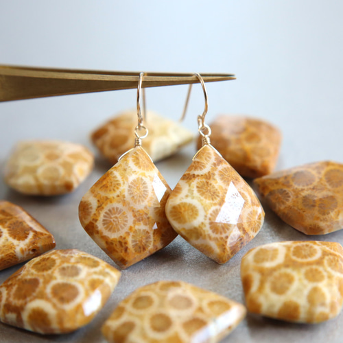 ☆最終半額セール☆大人気☆超希少 フォシルコーラル AAA 化石珊瑚