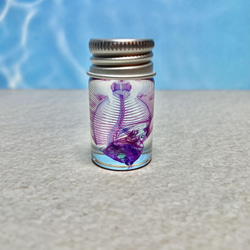 深海魚】透明標本(キホウボウ全長約105mm) (良品) その他インテリア