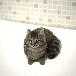 mia 受注商品 ノルウェージャンフォレストキャット 置物 猫 長毛