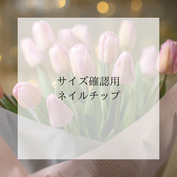 サイズ確認用ネイルチップ ネイルチップ（つけ爪） cosmos.y 通販 