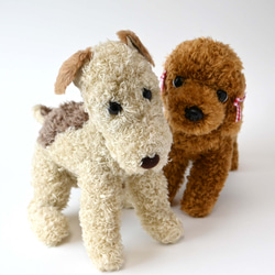 希少品！】ふしぎ犬トントン☆エアデールテリアぬいぐるみ