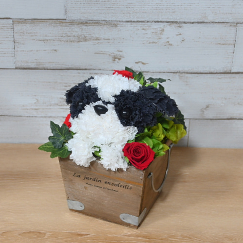 うちの子シーグラスアート お花畑のシュナウザー達 犬 ペット