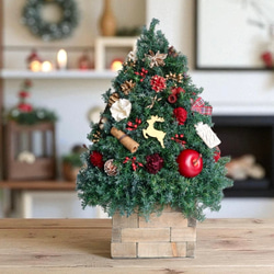 ドライフラワー　ポポラス　ミルフィーユリース　クリスマス　プレゼント　インテリア ミルフィーユ＞ユーカリ ポポラスのリース 商品ページ - 土と風