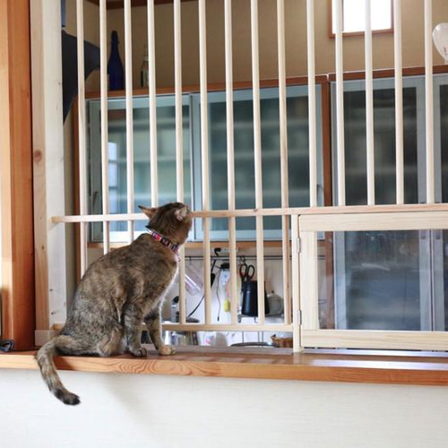 【猫】天板こちらで用意　　￼カウンターのみ販売 楽天市場】【animacolle キャットトンネル 猫のトンネル 】 公式