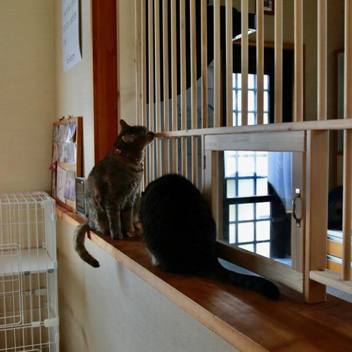 特価 猫の進入防止柵 ☆ L型キッチンカウンター用 ハウス・小屋 ☆ 食器棚・キッチンカウンター