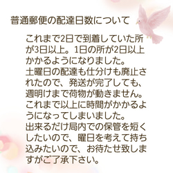 パープル＊可愛いお花いっぱいの丸襟   猫・犬用 6枚目の画像