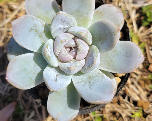 855bfff60236a20a84e98a7c69ffb2