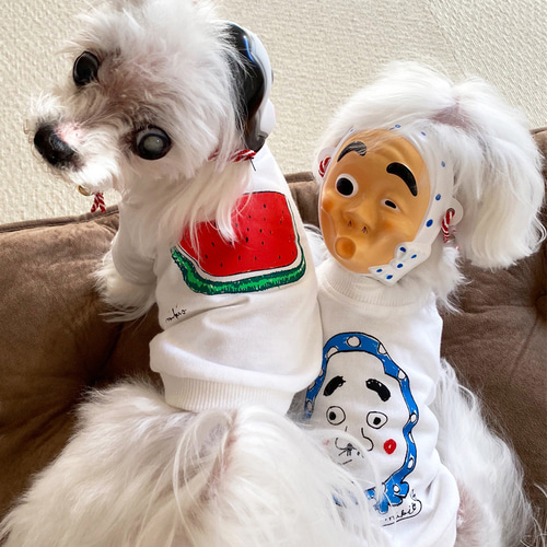 * vintage dogl ❀ きょとんとしたお顔が 可愛い ワンちゃん vintage dog ❀ * ツートーンの可愛い ワンちゃん 美術品