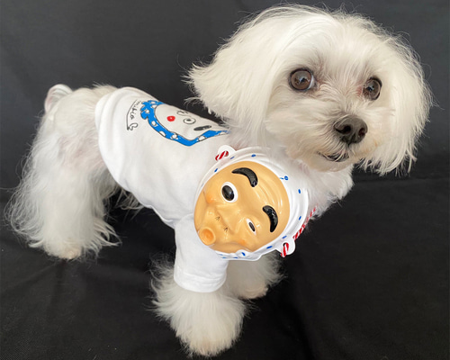 f28b9fa9b38953c209978c9f215179