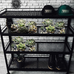 44f8ed7c3bf02c5c8261531208180f