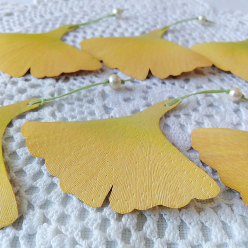 イチョウページ イチョウ (Ginkgo biloba)