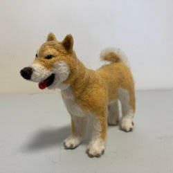羊毛フェルト柴犬 拒否犬 羊毛フェルト柴犬 拒否犬 羊毛フェルト