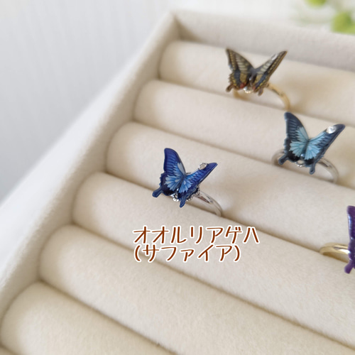 選べる8色 ピンキーリング♪】蝶々リング。アゲハ蝶、モルフォ蝶