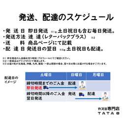 成人式用髪飾り　ドライフラワー　ヘア飾り　振袖　和装　着物　結婚式　卒業式　袴　水引　リボン　和紐和玉　ゴールド　ピンク 6枚目の画像