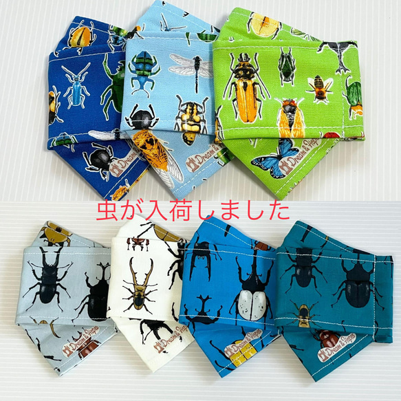 【12/20新作追加】世界のカブトムシ&虫　幼児用布マスク　2枚セット 1枚目の画像